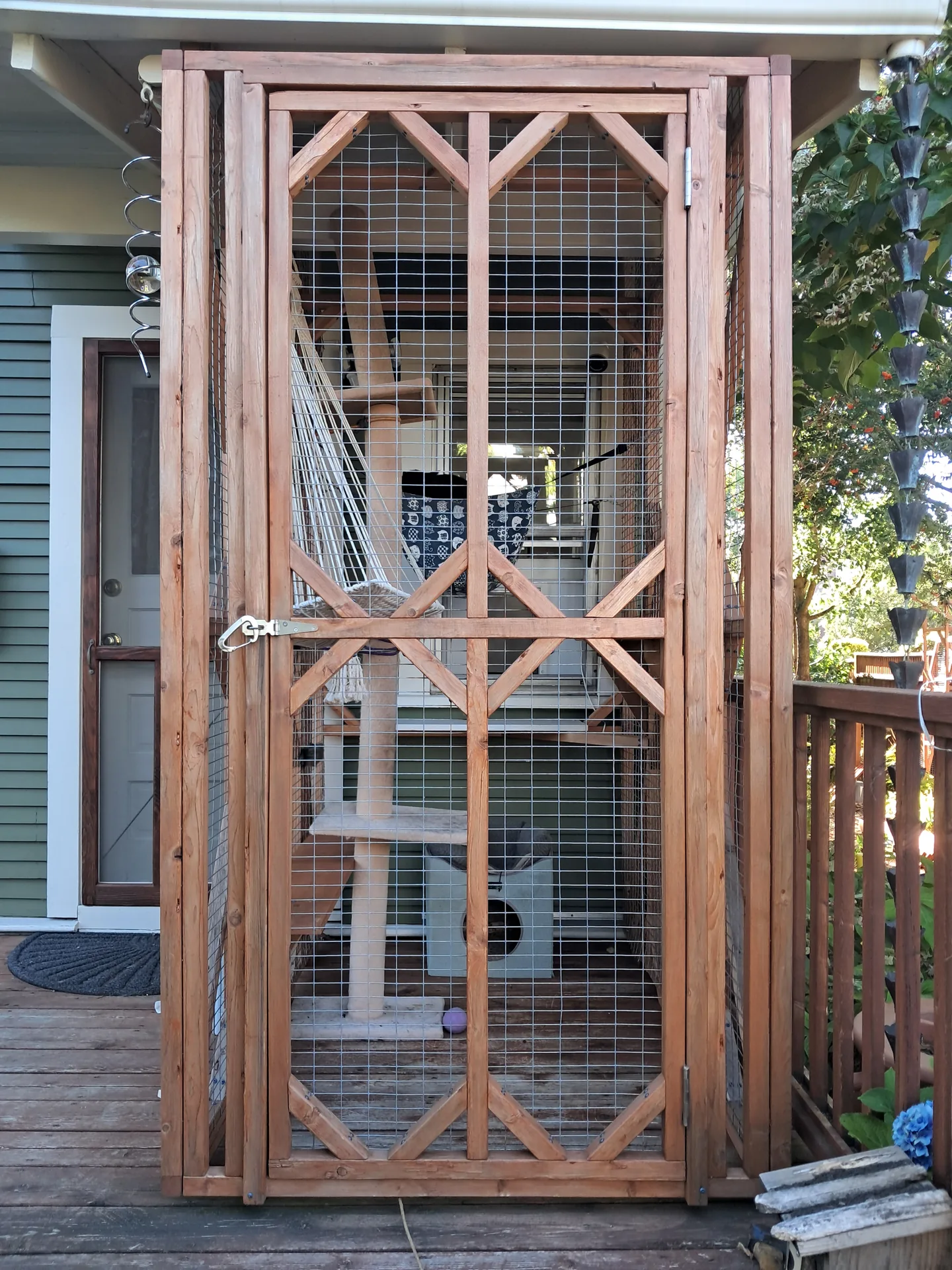 Back porch catio enclosure